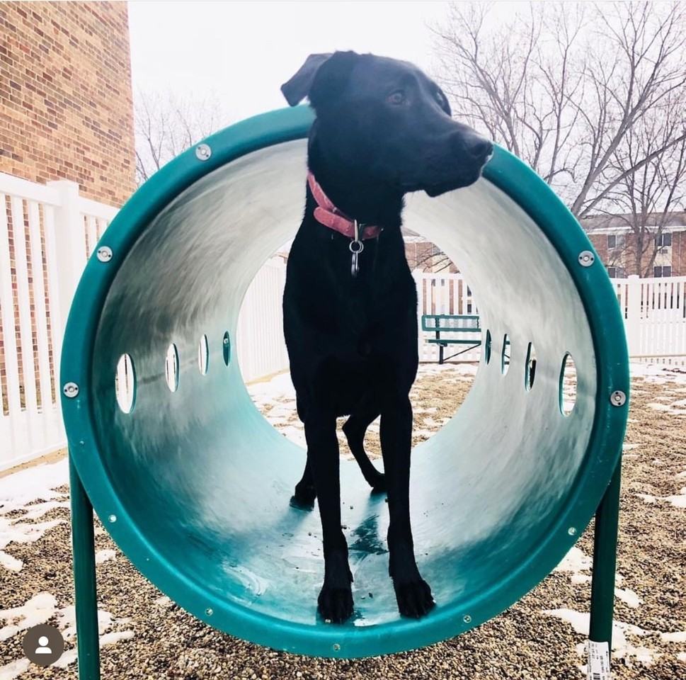 Mosaic Apartments - Photo 6 of 29