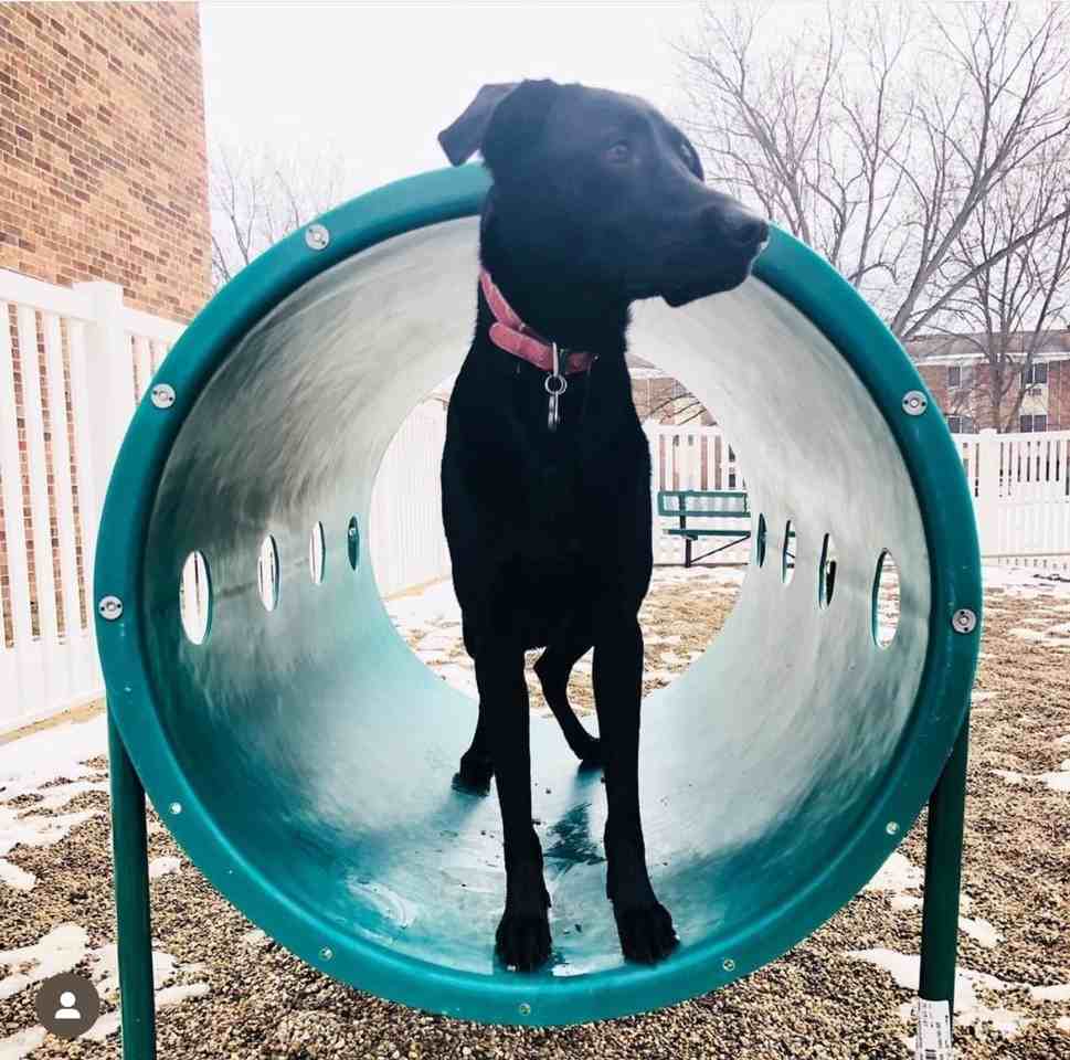 Broadway Apartments - Photo 4 of 50