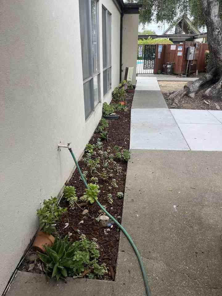 1184 Oceanaire Dr - Photo 3 of 17