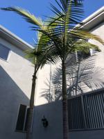 featured image of 11007 Palms Blvd