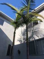 LUXURY LIVING AT AN AFFORDABLE PRICE - Photo 1 of 1