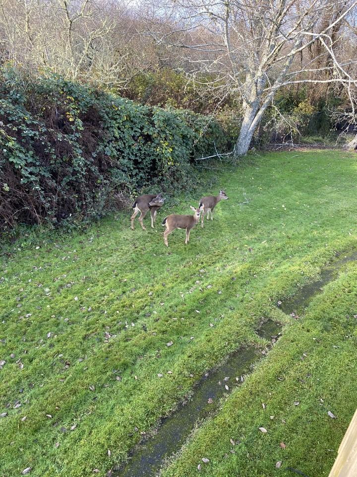 Onyx Ct (1201-1220) - Photo 7 of 14