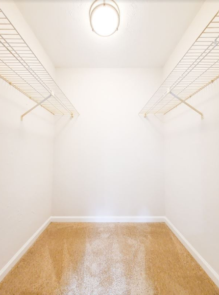 Tanager Apartments - Photo 5 of 50