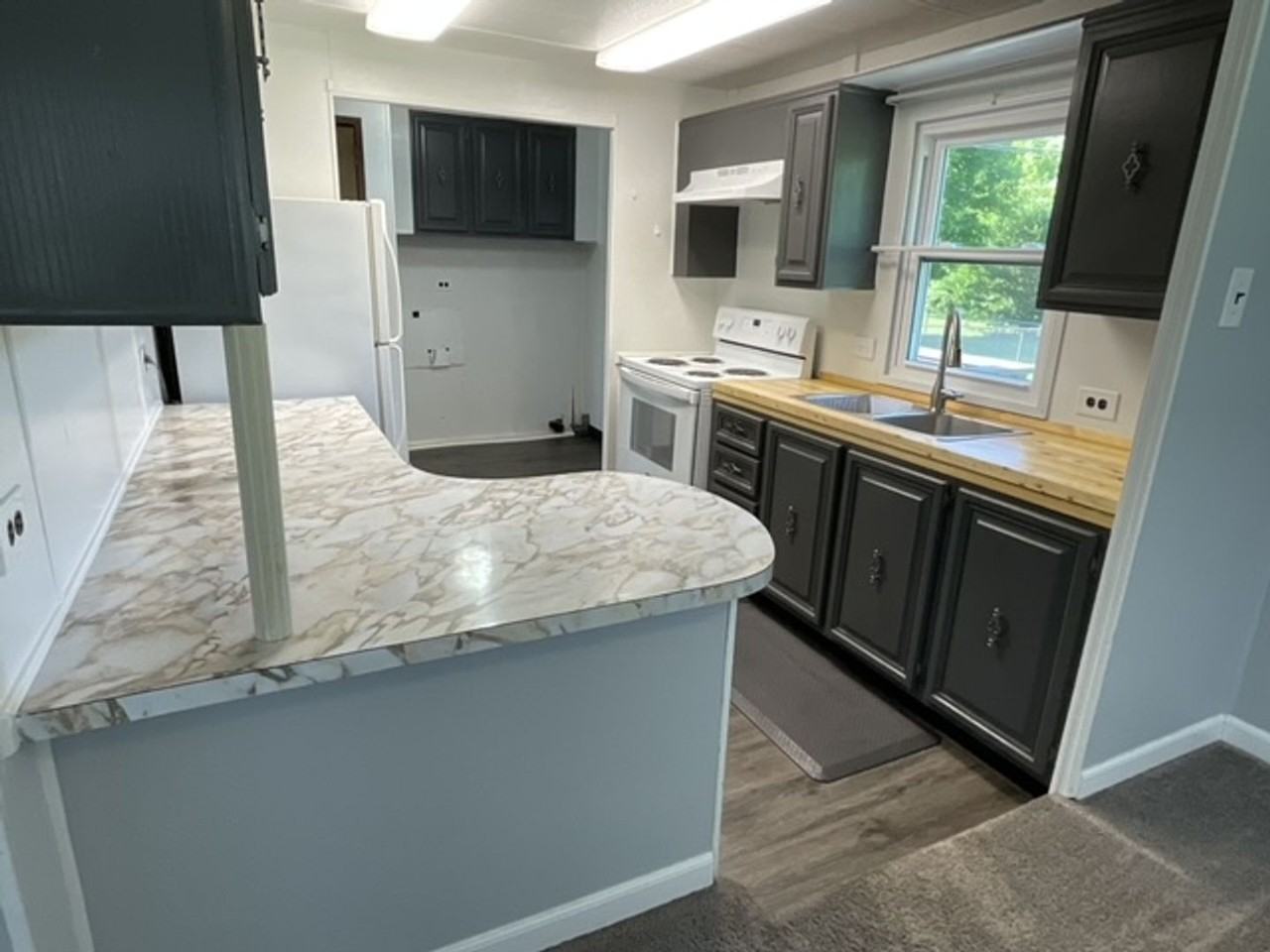 3516 Black Sulfur Way - Photo 3 of 13