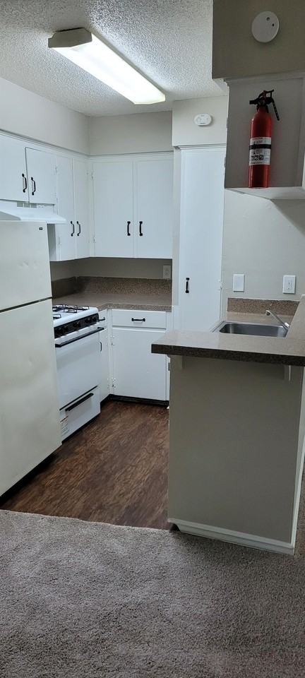 Carolyn Court - Photo 5 of 10