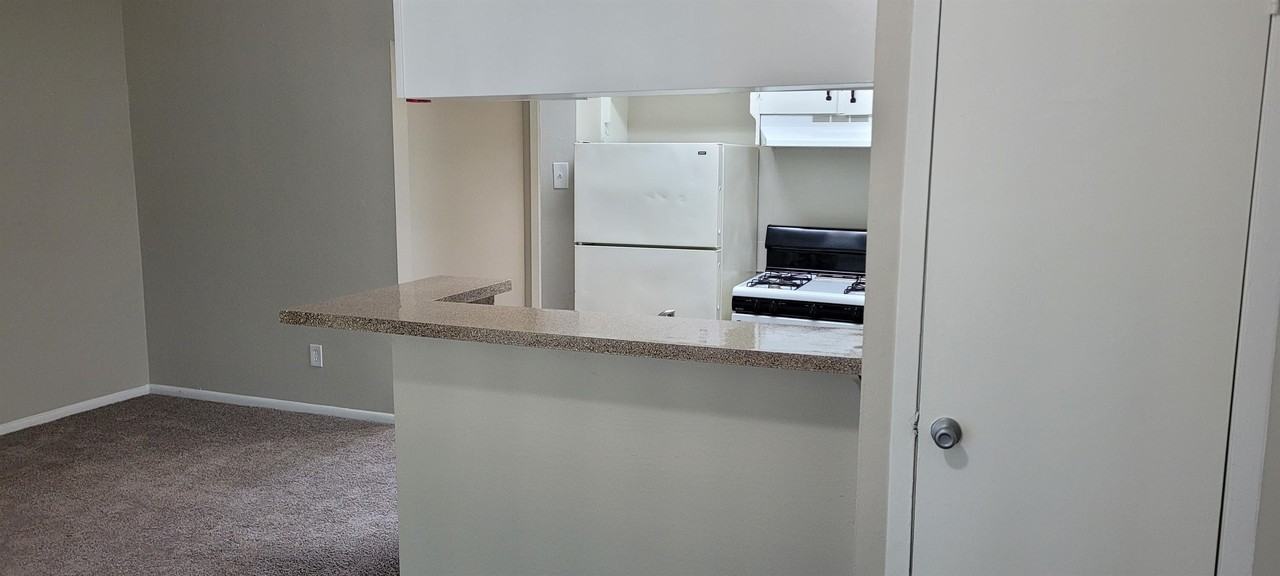 Carolyn Court - Photo 6 of 10