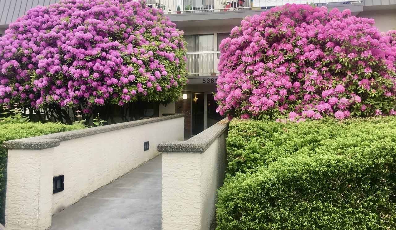 Park Terrace - Photo 5 of 5