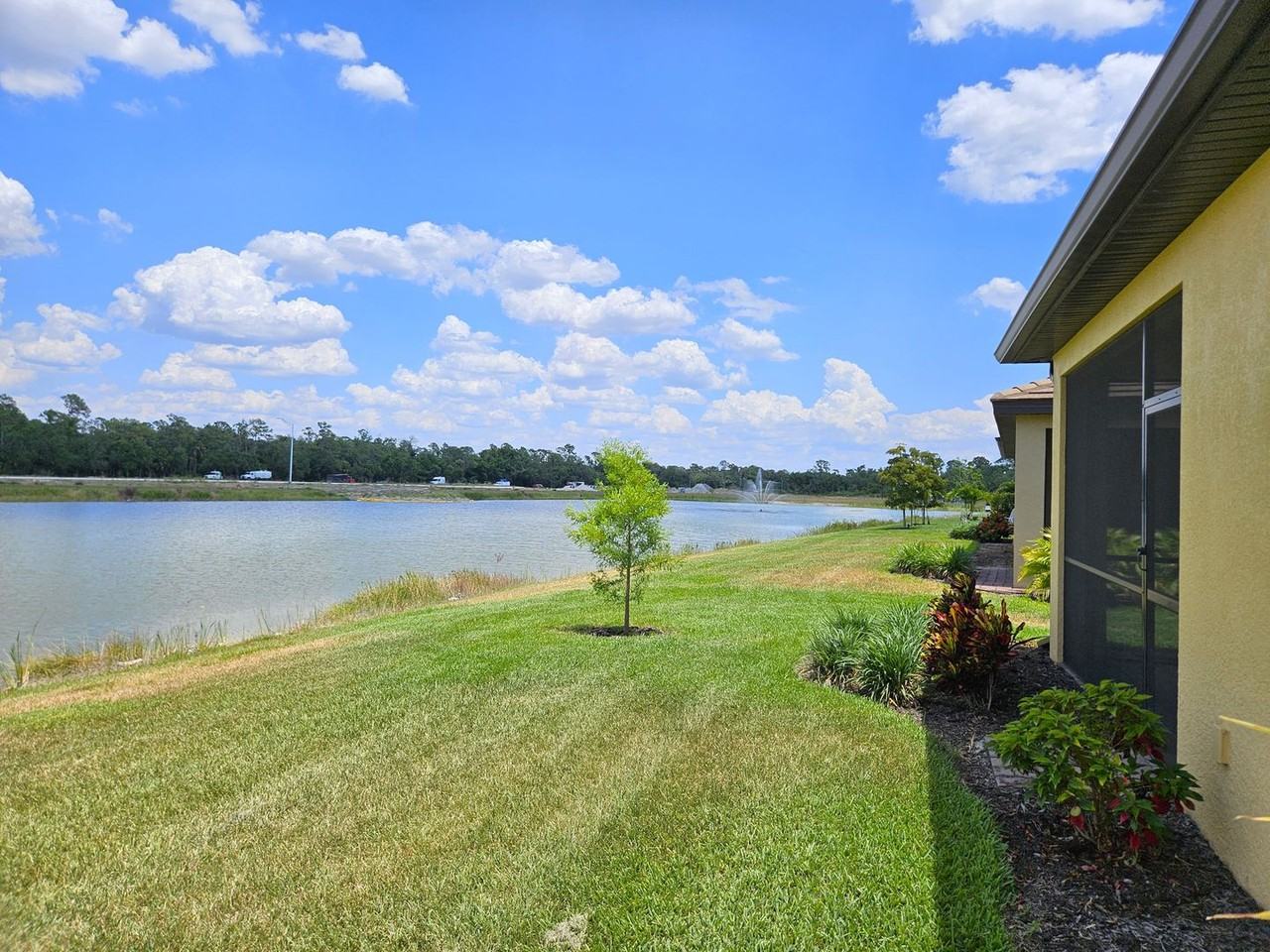 20936 Fetterbush Pl - Photo 2 of 50