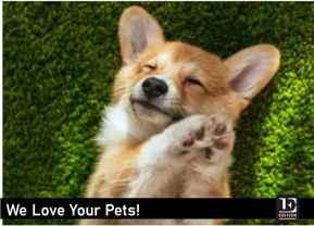 18420 102nd Ave Ne - Photo 1 of 1