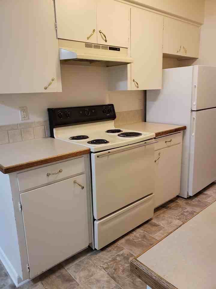 Country Pines - Photo 3 of 33