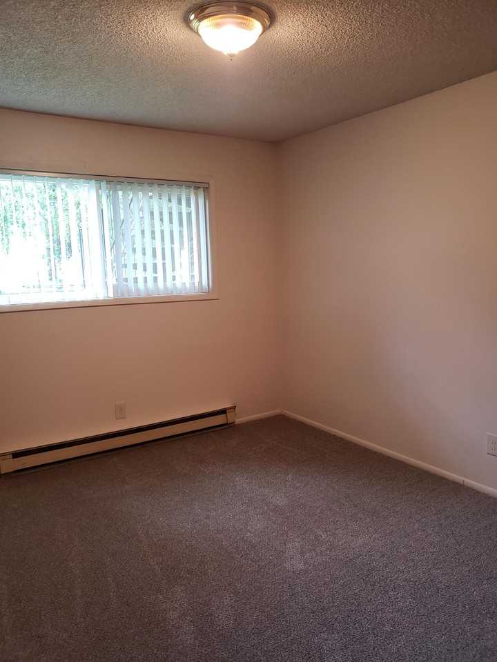 Country Pines - Photo 6 of 33