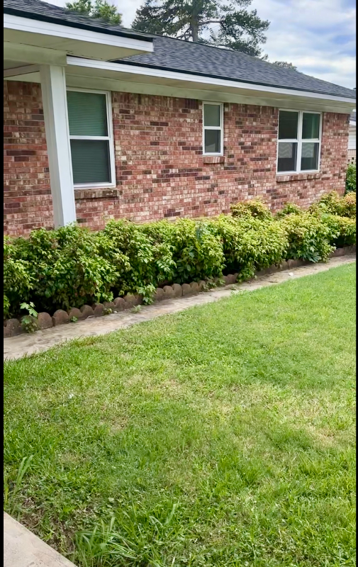 111 Camellia St - Photo 7 of 36