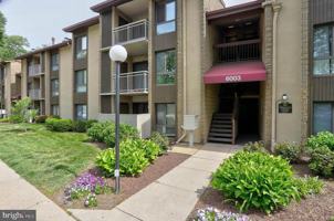 featured image of 6003 Majors Ln #8