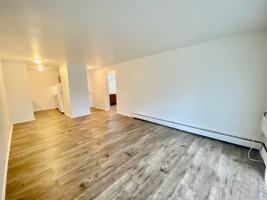 featured image of 311 Jarvis St