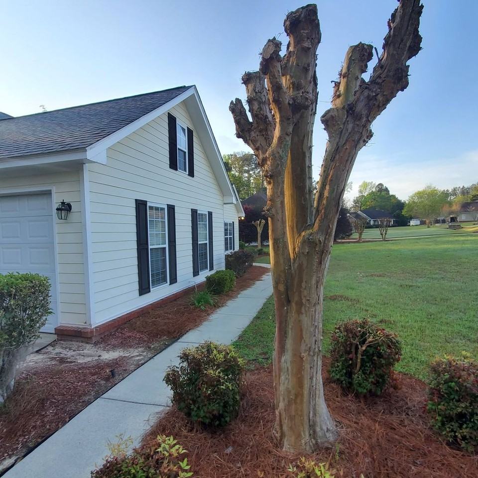 4014 Liska Cir - Photo 2 of 18