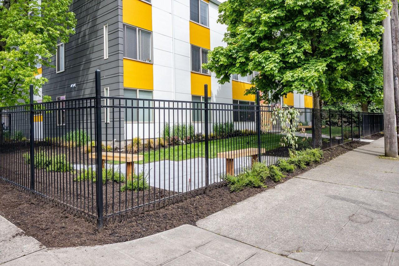 Viola - Photo 2 of 24