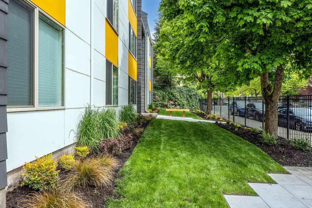 Viola - Photo 3 of 24