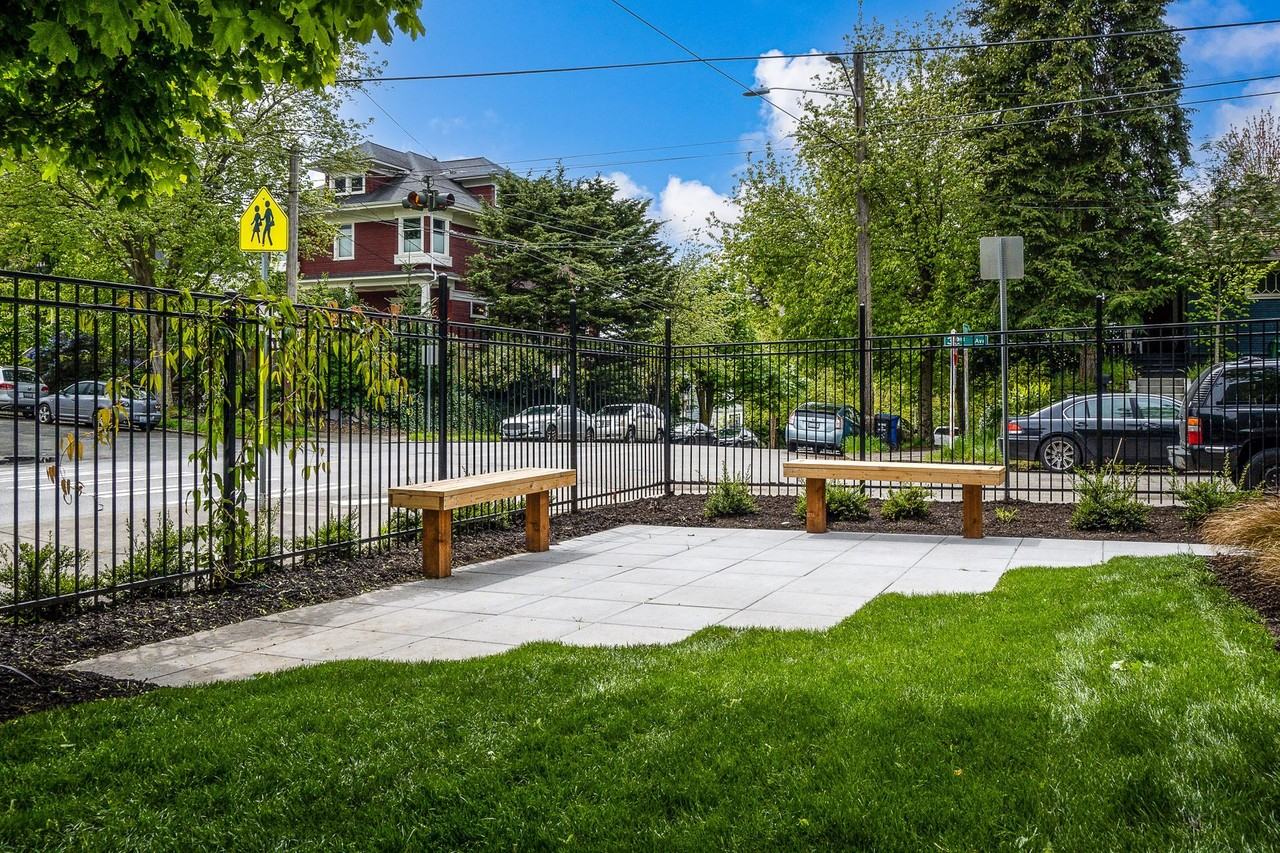 Viola - Photo 4 of 24