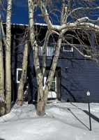 featured image of 250 Cove Blvd #3