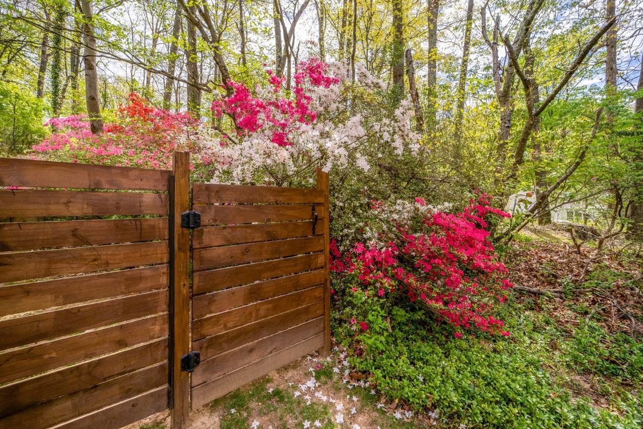 2235 Abbotsford Dr - Photo 6 of 50