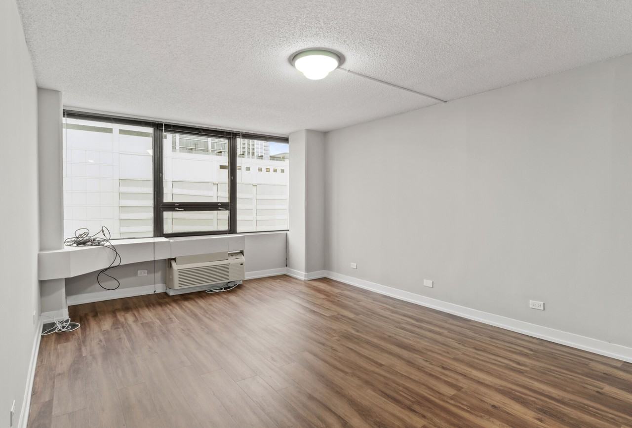 1212 S Michigan Ave #2-2 - Photo 5 of 27