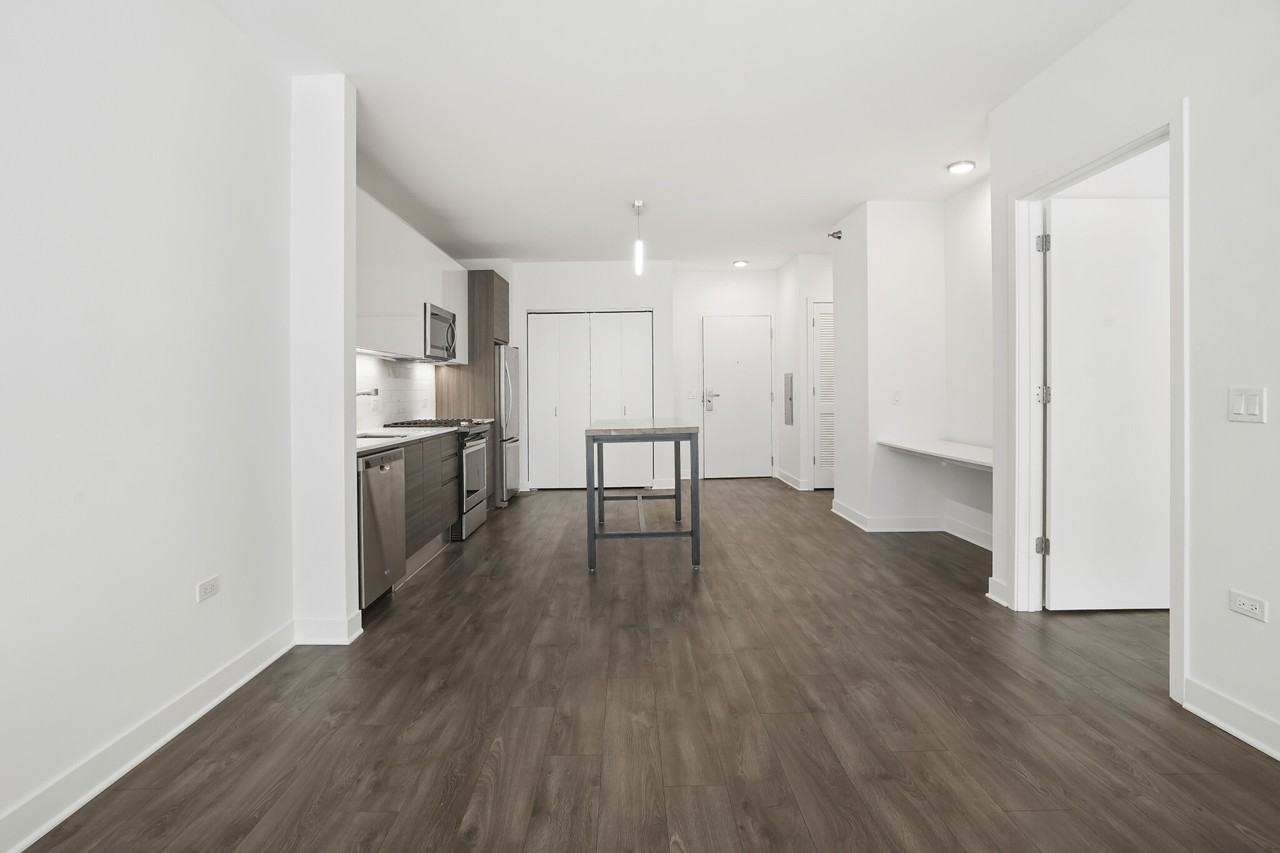 221 W Hubbard St #1-1 - Photo 3 of 23