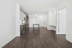 featured image of 221 W Hubbard St #1-1