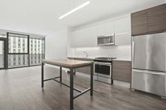 221 W Hubbard St #1-1 - Photo 1 of 1