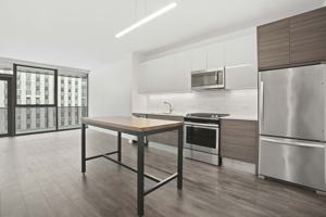 featured image of 221 W Hubbard St #1-1