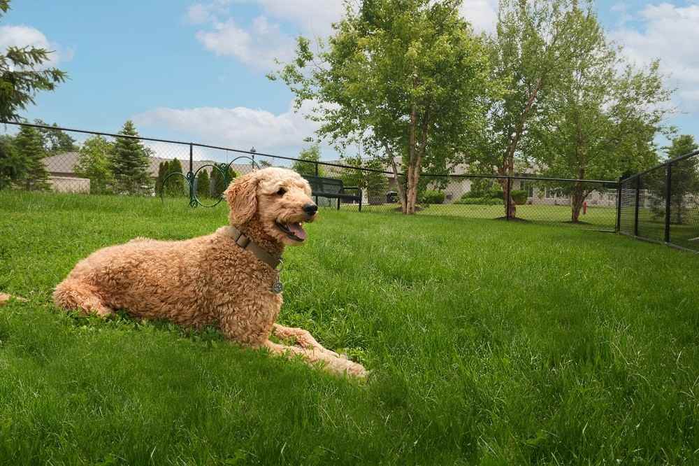 Chateau at Hillsborough - Photo 7 of 28