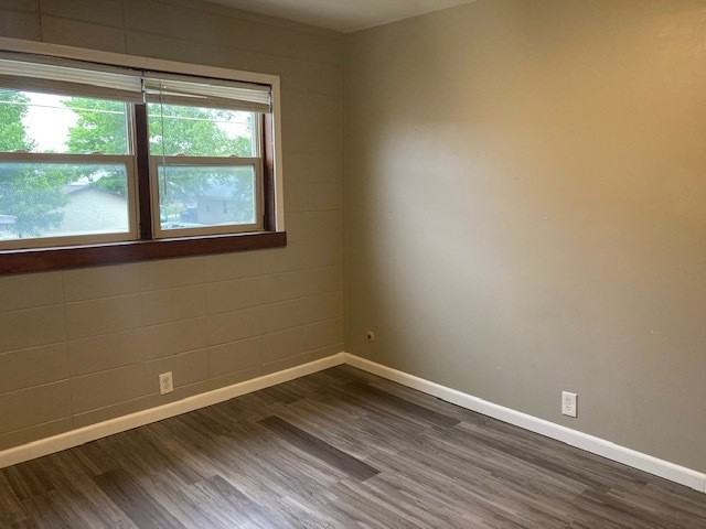 Royal Prince - Photo 4 of 25