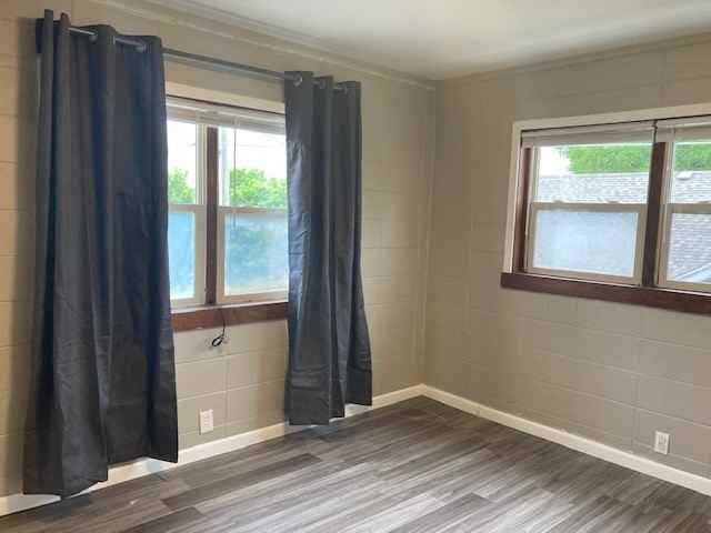 Royal Prince - Photo 5 of 25