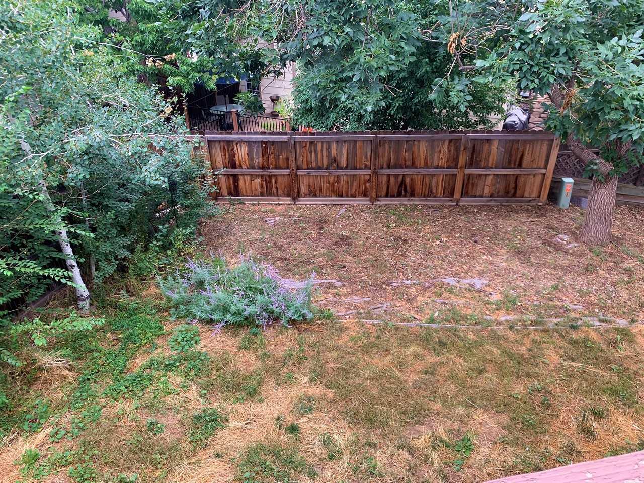 430 Somerset Drive - Photo 5 of 10