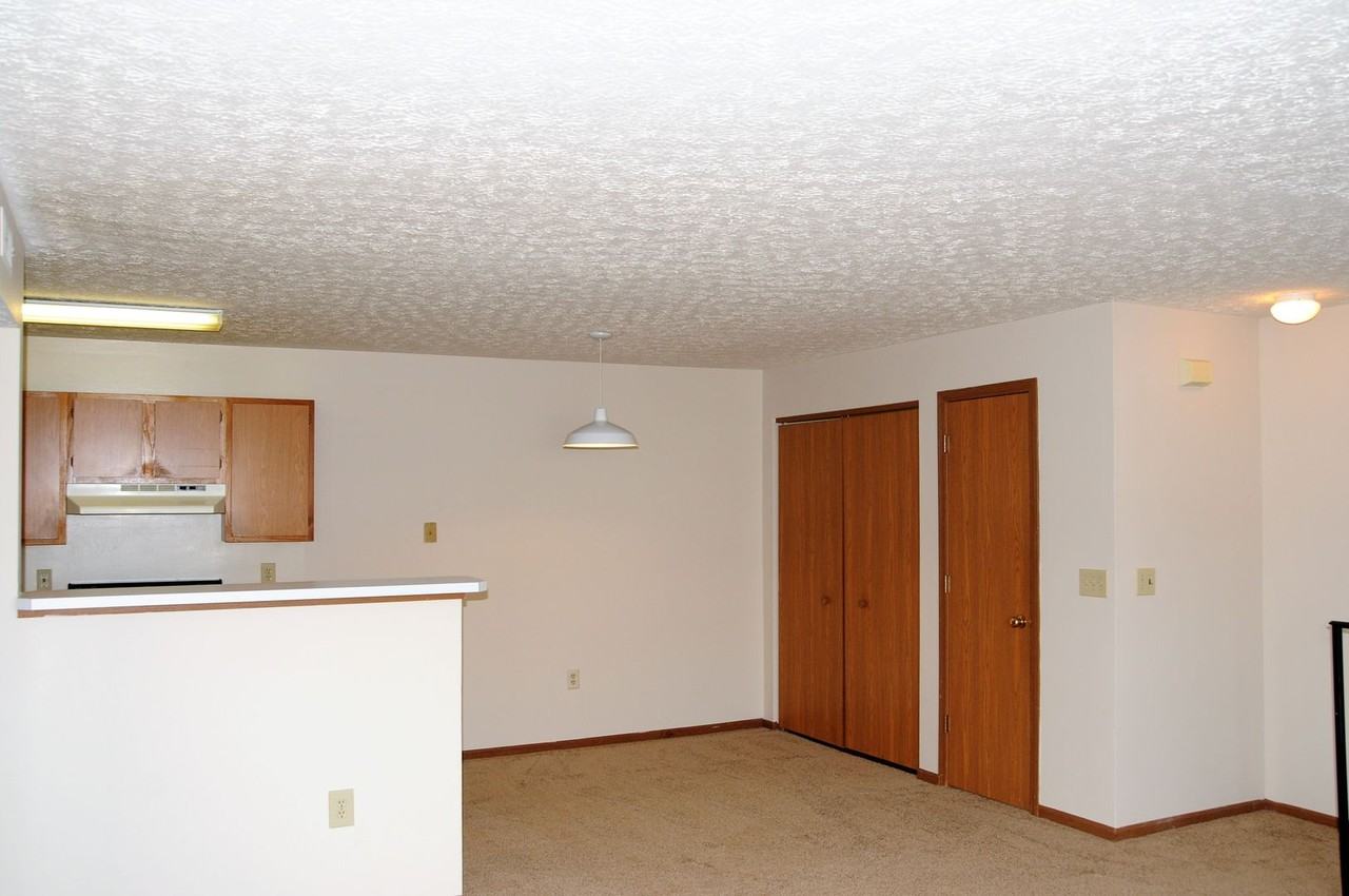 5561 Cedar Spgs - Photo 6 of 12