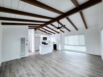 Paloma - Photo 1 of 1