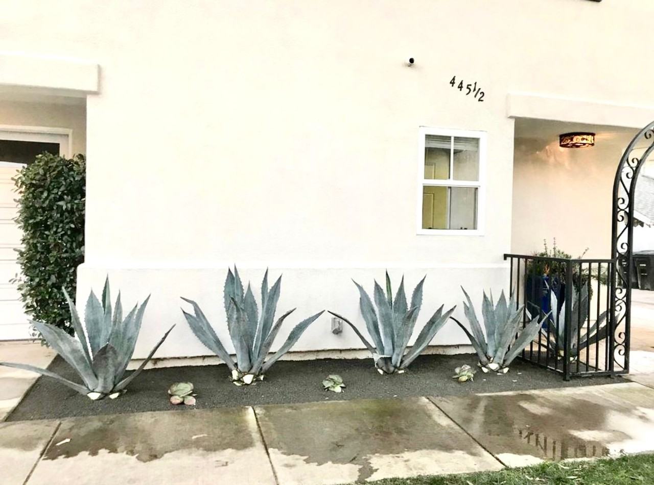 445 1/2 Begonia Ave - Photo 5 of 22