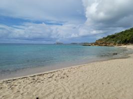 featured image of 15