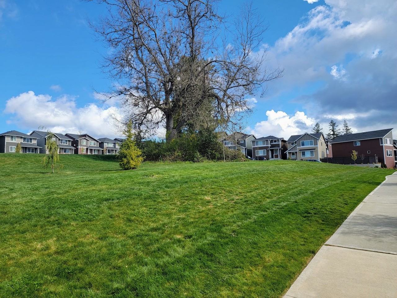 1012 Sedonia St - Photo 4 of 25