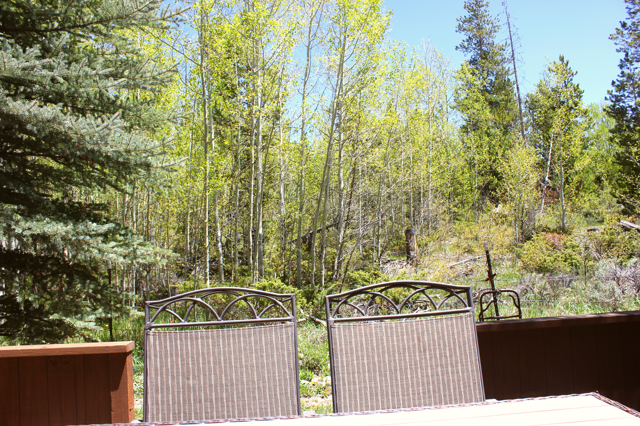 102 Heritage Ranch Road #102 - Photo 3 of 40