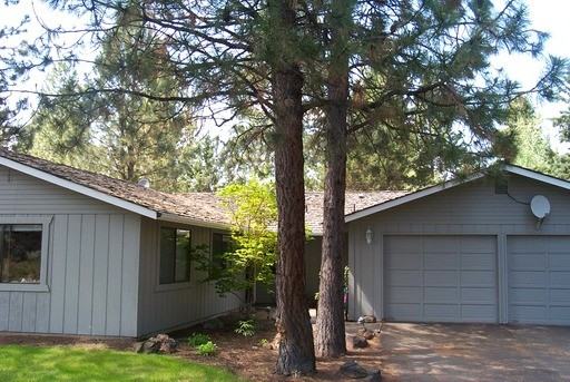 20316 Donkey Sled Rd - Photo 2 of 15