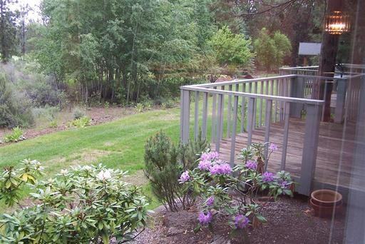 20316 Donkey Sled Rd - Photo 3 of 15