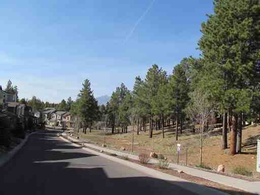 3205 S Salvestrin Ln - Photo 3 of 6