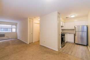 Lincoln Park Living! - Photo 1 of 1