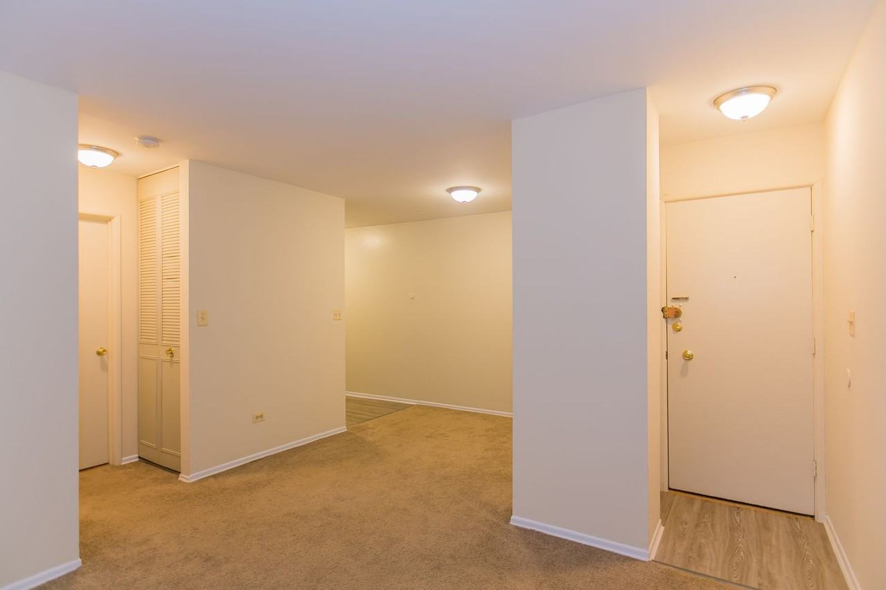 Lincoln Park Living! - Photo 5 of 19