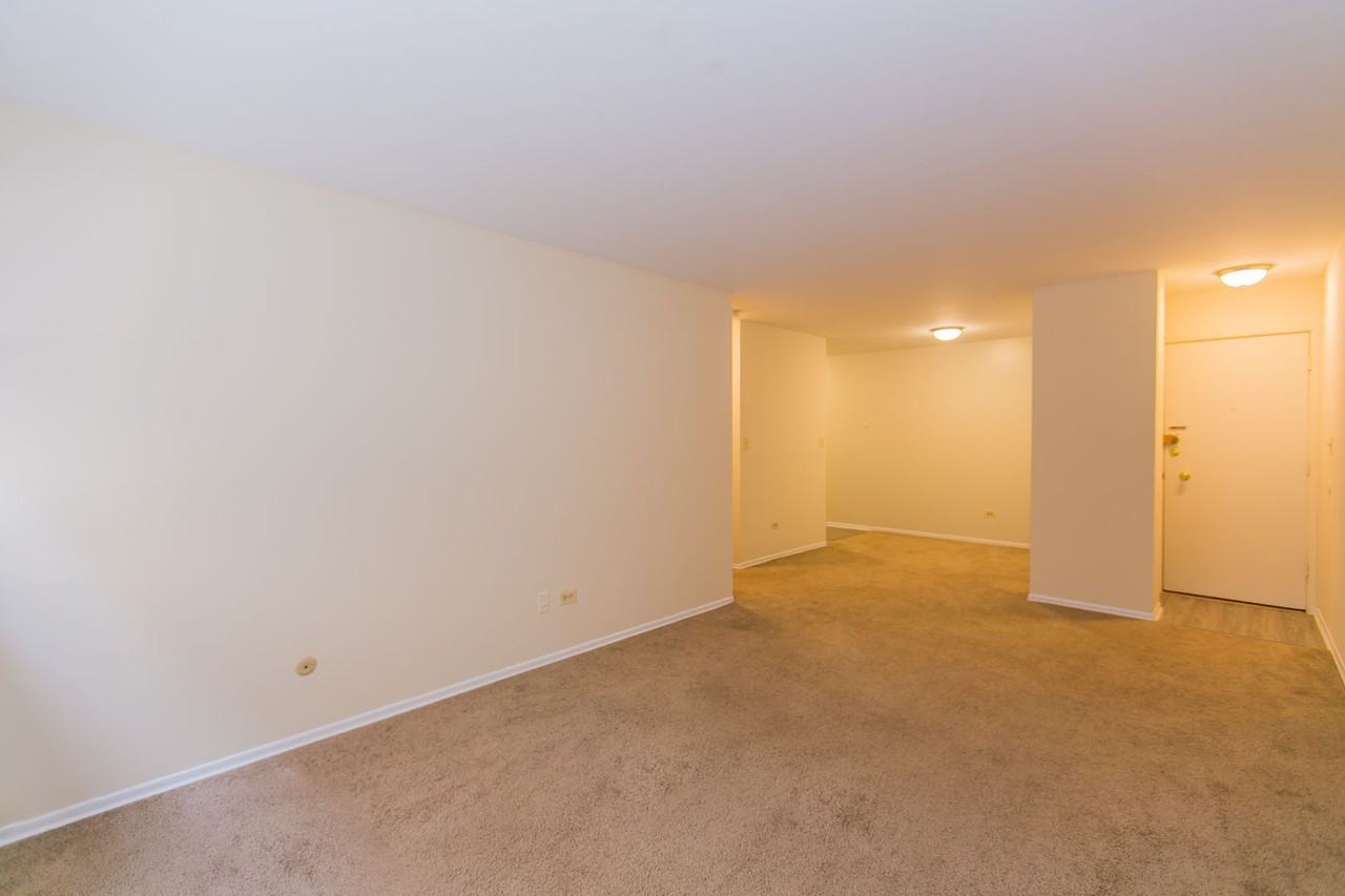 Lincoln Park Living! - Photo 7 of 19