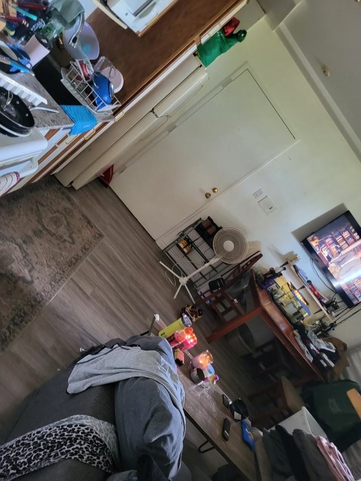 225 Rue Hector-Lanthier - Photo 3 of 7