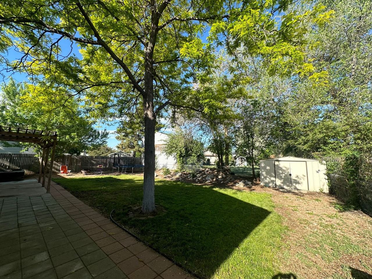906 Woodbine Dr - Photo 4 of 14