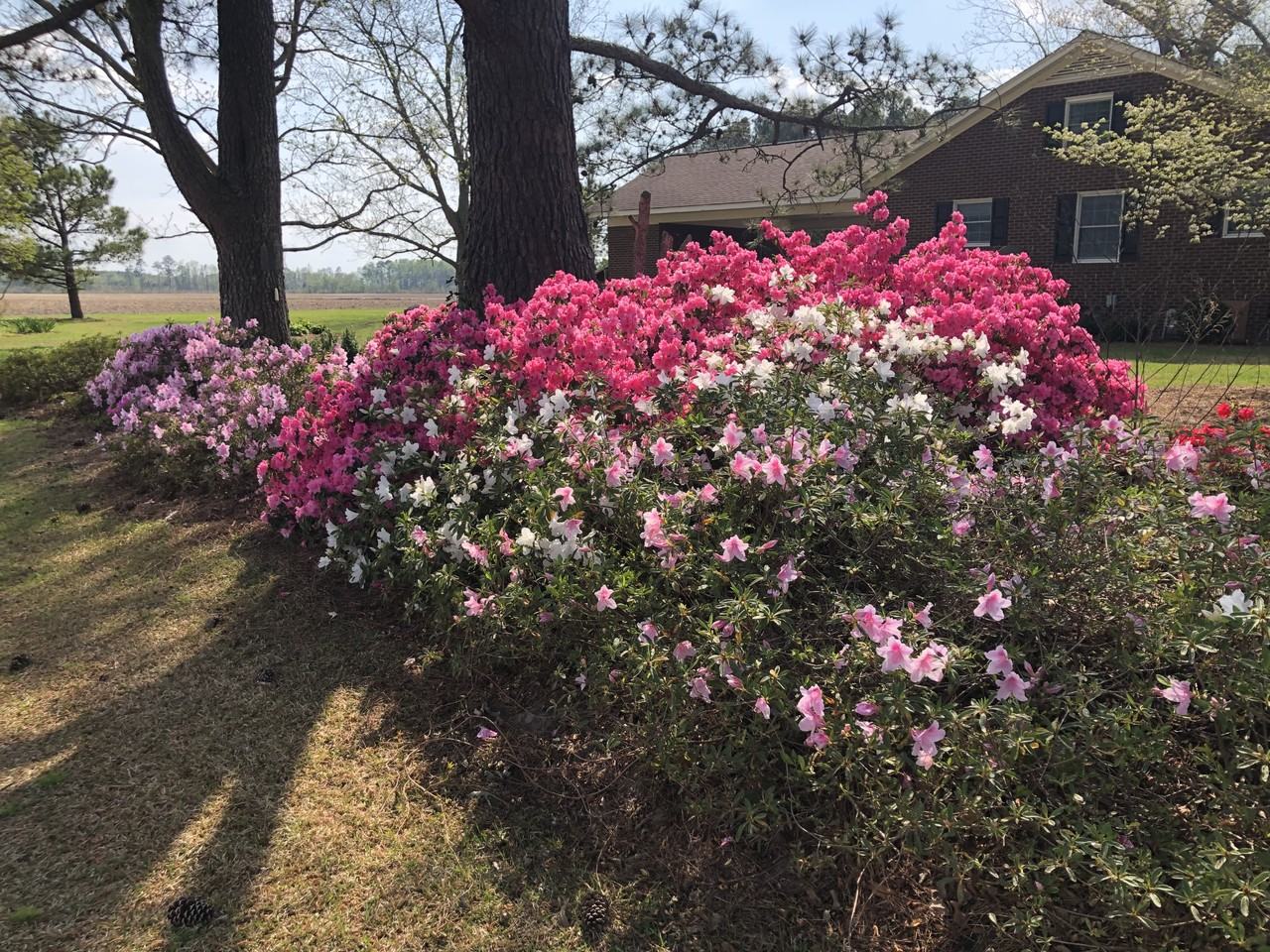 2902 Old Creek Rd #NA - Photo 5 of 14