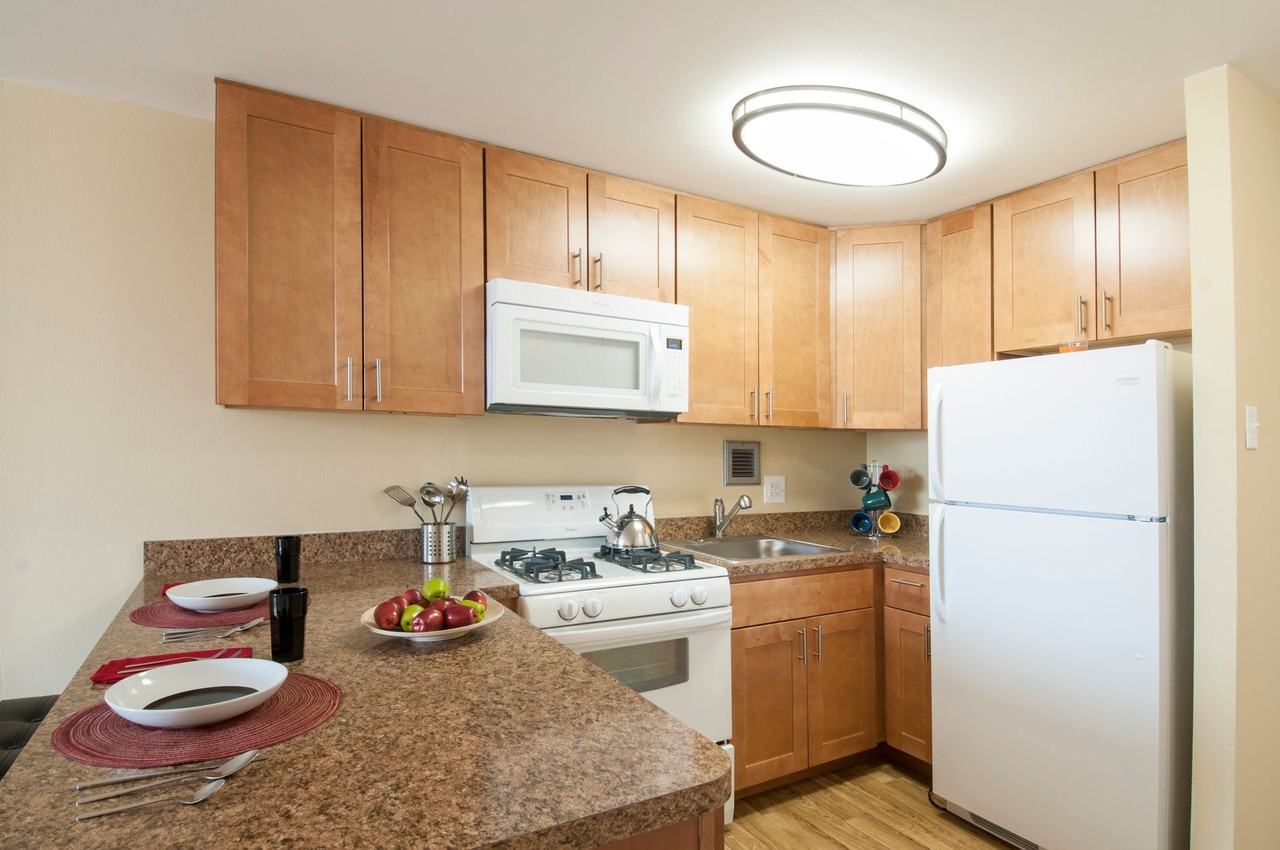 The Metropolitan Bala - Photo 3 of 37