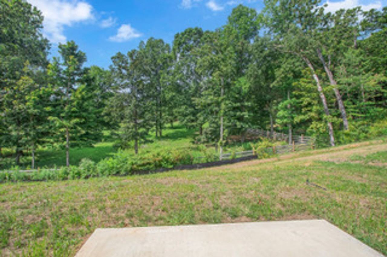 1025 Curly Top Ln - Photo 3 of 29